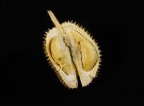 durian