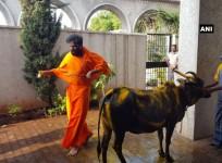 BJP's Sriramulu performs 'gau puja' before casting his vote in Karnataka polls