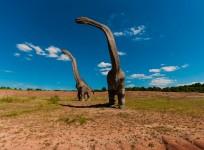 Dinosaur