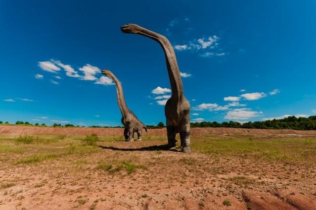 Picture for Representation Dinosaur