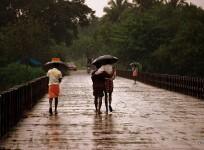 rain