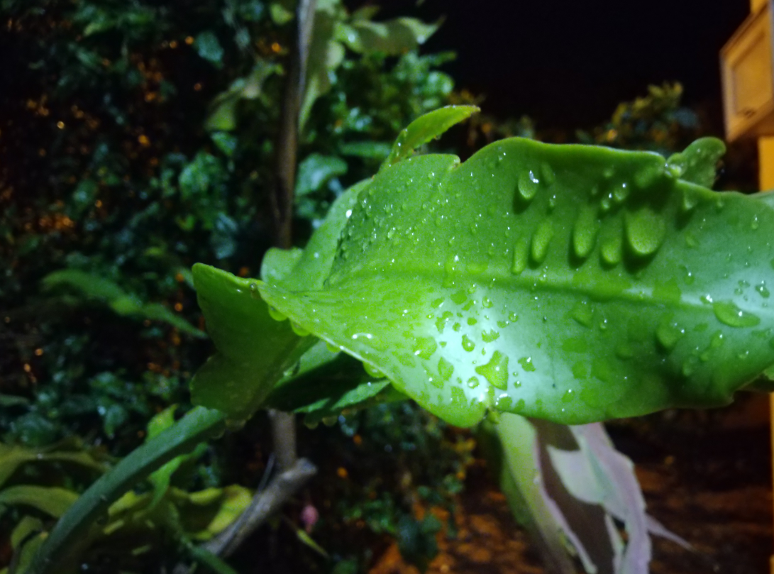 Asus, Zenfone Max Pro M1, review