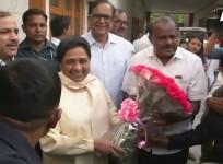 mayawati