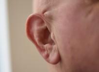 Man's ear bitten off in Delhi