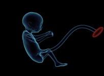 Israel advert for maternity ward shows foetus as future soldier