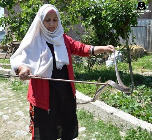 The snake was found inside the school premises. Snake
