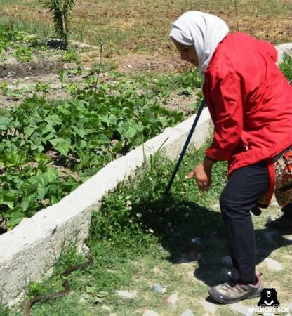 Aaliya Mir carrying out the rescue operations Snake