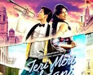 Teri Meri Kahaani