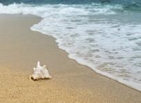 Sea side