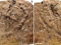 Oldest footprint ever discovered