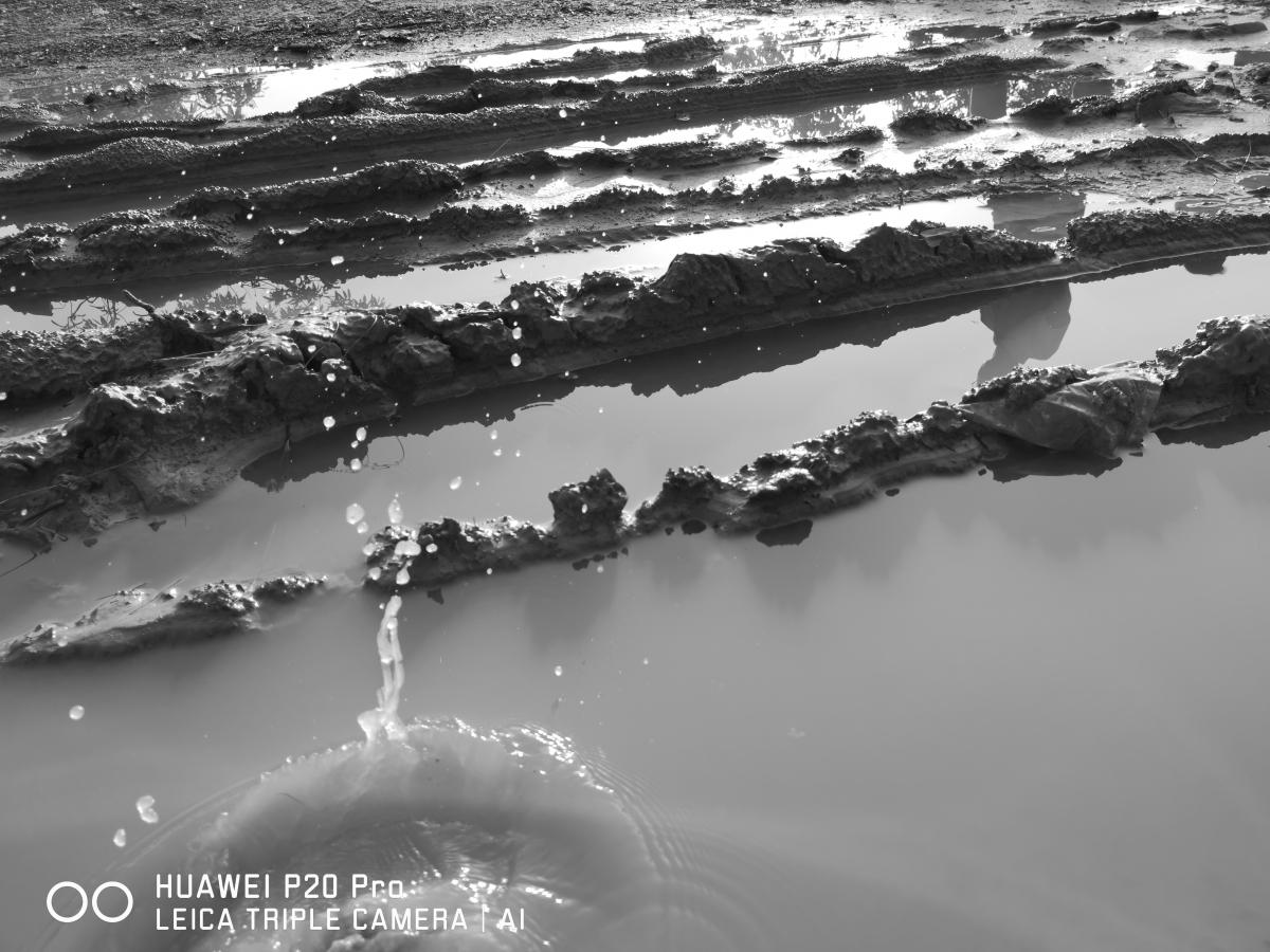 Huawei P20 Pro camera samples