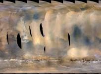 Mars storm