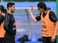 Edinson Cavani and Luis Suarez