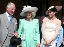 Meghan Markle Prince Charles