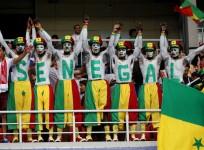 Senegal fans at Fifa World Cup