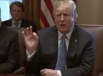 Donald Trump Falsely Claims Migrants Travel Through Mexico 'Like Its Walking Through Central Park'