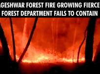 Bageshwar forest fire growing fiercely, Forest Department fails to contain