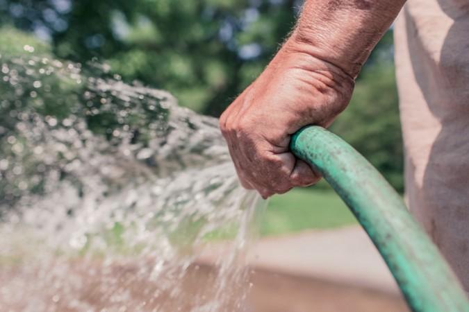 The SP has been accused of making cops water plants in her garden. (Representational image) gardening
