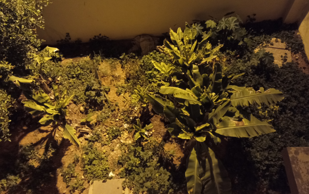 Tecno, Camon iClick, review