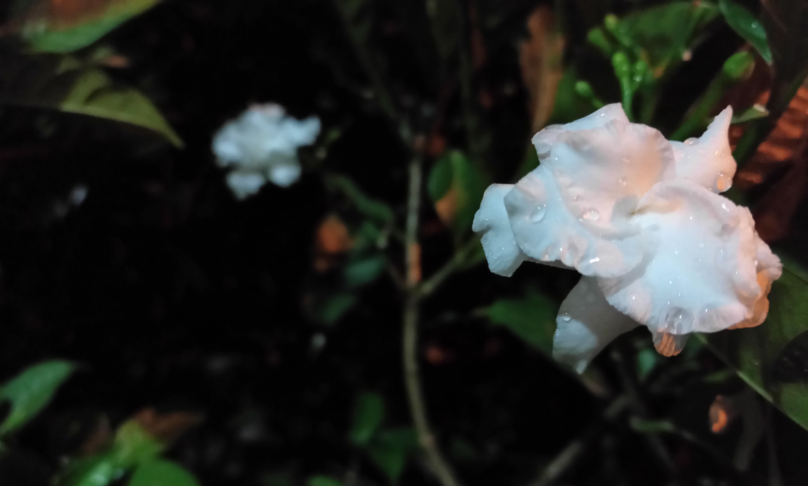 Tecno, Camon iClick, review