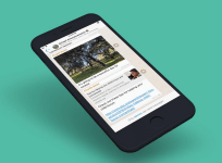 WhatsApp, Group, Admin, chat, Description, feature