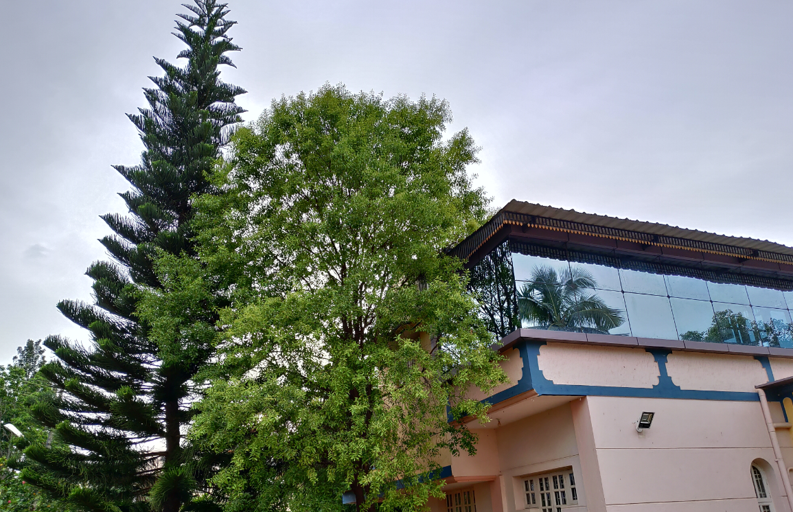 Asus Zenfone 5Z primary camera sample shot taken in the evening under normal mode Asus, Zenfone 5z, first impression, hands-on, review India, launch, price, specs