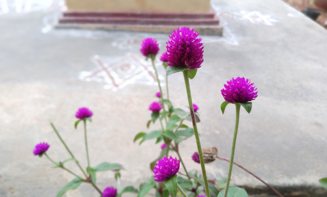 Asus Zenfone 5Z primary camera sample shot taken in the evening. Asus, Zenfone 5z, first impression, hands-on, review India, launch, price, specs