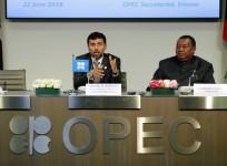 OPEC President Suhail Mohamed Al Mazrouei