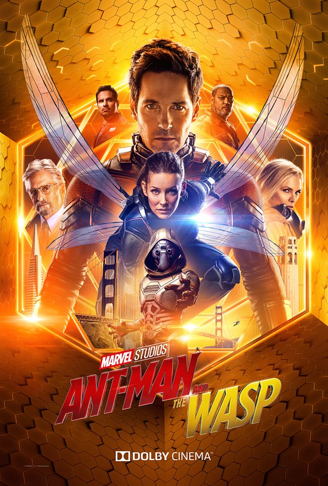 Ant Man box office collection