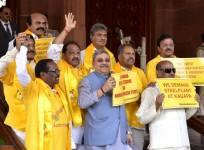 TDP and TMC MPs stage a demonstration