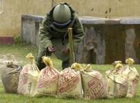 A bomb squad member tries to defuse a bomb