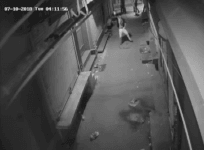 thief dancing