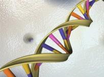 DNA double helix