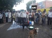 Dairy farmers protest in Maharashtra