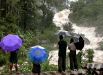 kerala rains