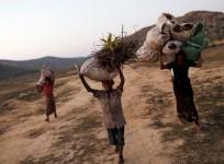 Rohingya refugee children carry firewood