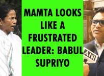 Mamta looks like a frustrated leader Babul Supriyo