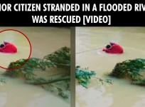 Senior citizen stranded in flood rescued