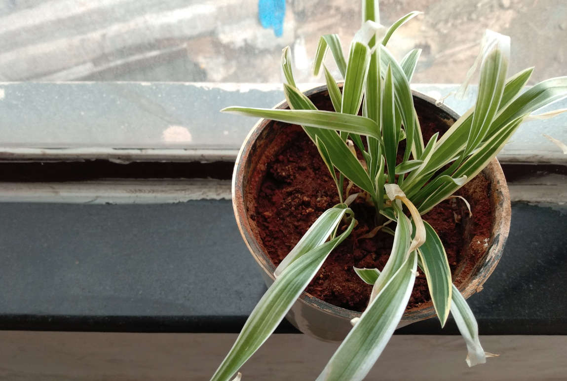 Tecnno Camon iTwin camera sample taken in afternoon with dark cloud looming in the sky Tecno, Camon iTwin, first impression, price, camera