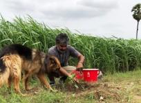 SS Rajamouli planting saplings in his farm