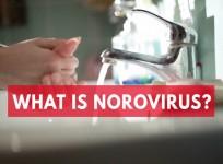 What Is Norovirus?