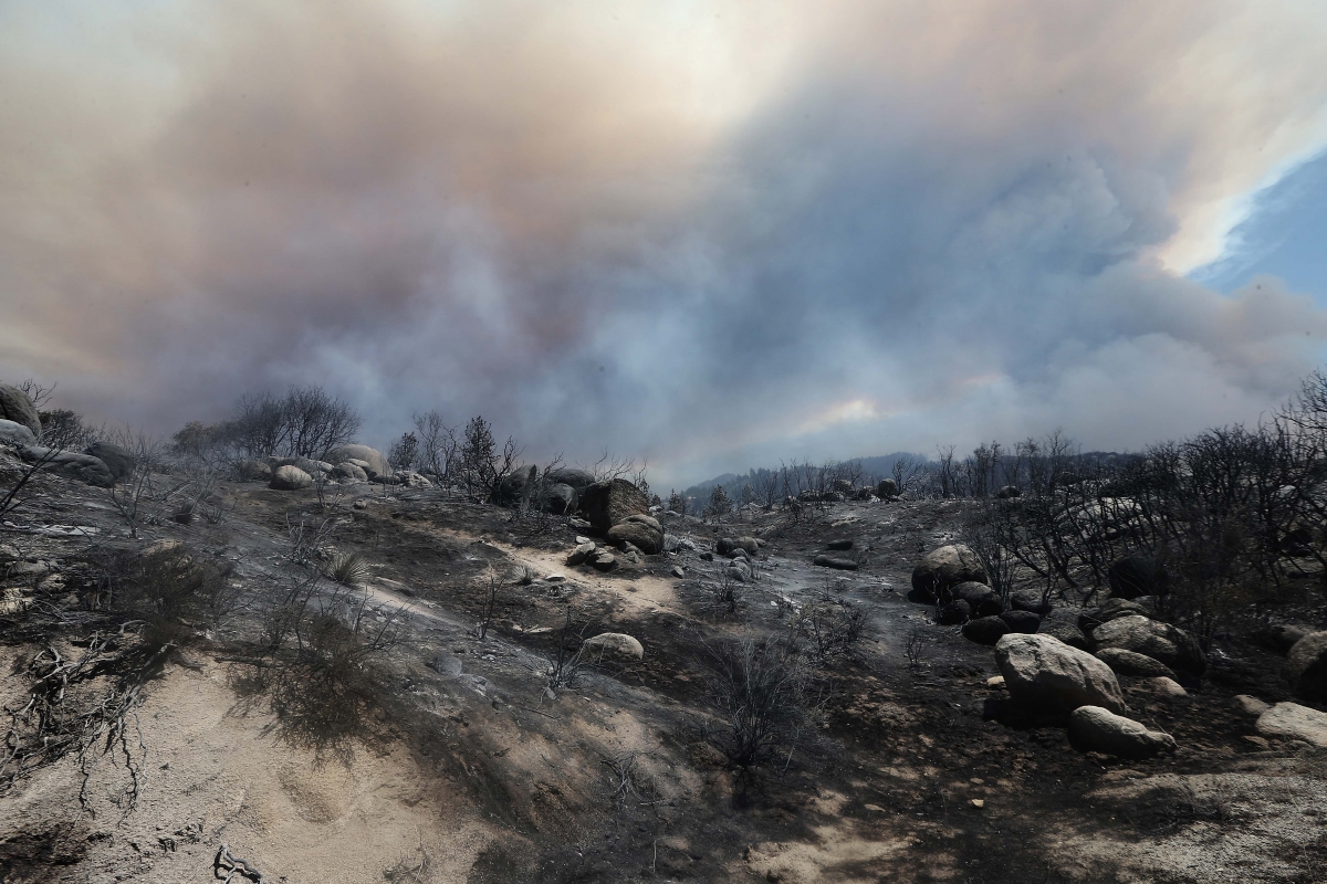 Cranston fire in Idyllwild California