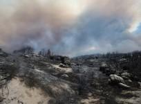 Cranston fire in Idyllwild California
