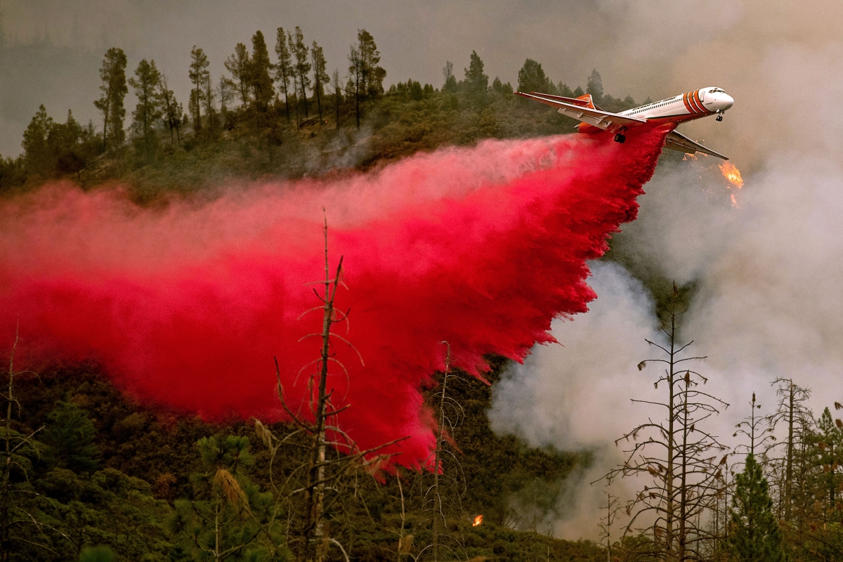 A blazing trail of destruction California fire in photos IBTimes India
