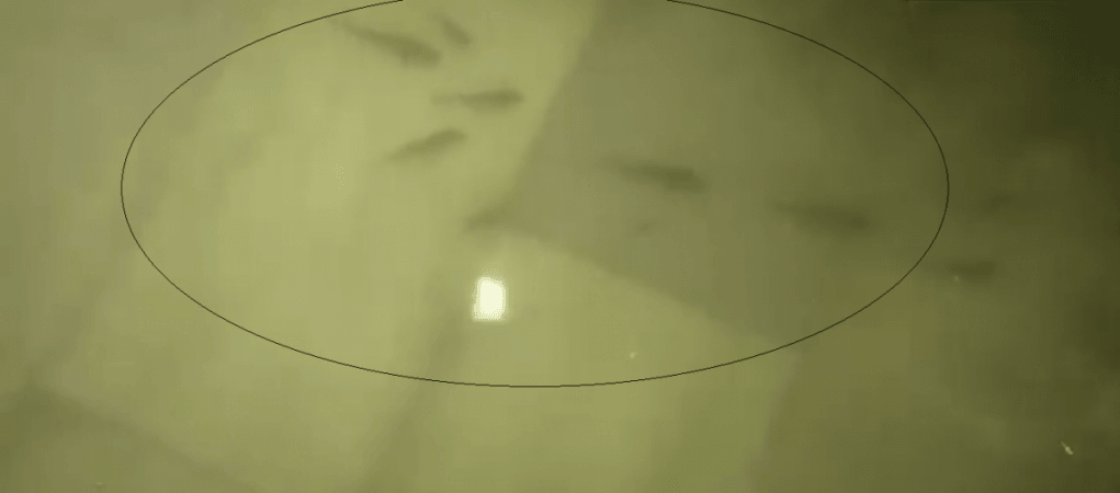 Fish seen swimming in ICU of Patna government hospital. Fish seen swimming in ICU of Patna government hospital