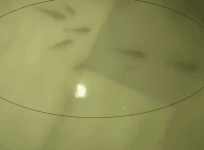 Fish seen swimming in ICU of Patna government hospital