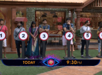 Bigg Boss Telugu 2 nominations for the week begins