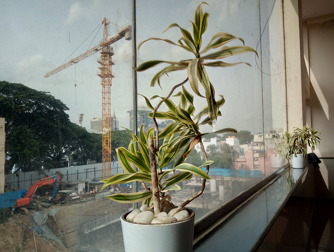 Infinix Smart 2 camera sample taken in the evening Infinix, Smart 2, India, launch, price, review