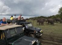sri lanka tourism