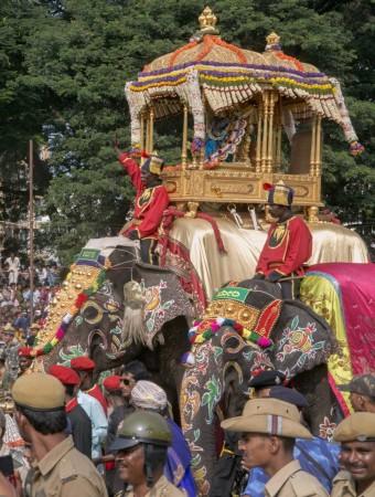 The royal elephant Arjuna of the Mysore Palace carries the Golden Howdah, weighing 750 kilos, containing Hindu Goddess Chamundeshwari during Vijayadashami celebrations in Mysore on October 4, 2014. Vijayadashami marks the end of 'Navrathri' the nine-night Dasara festival celebrations in the country. Main elephant Arjuna carrying the Golden Howdah